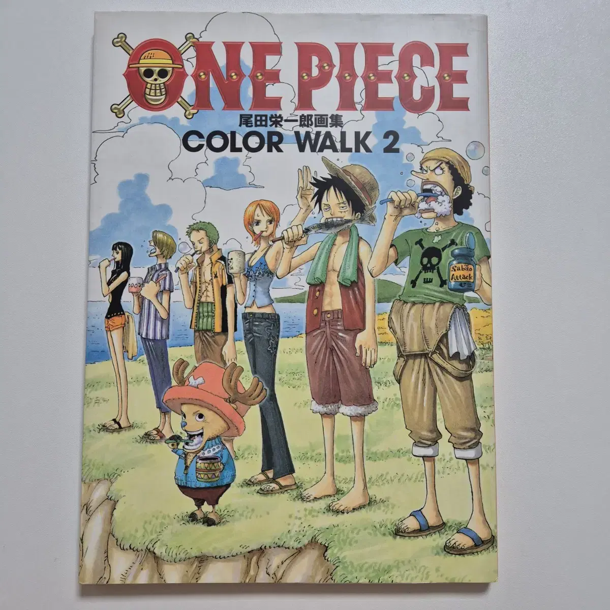 원피스) ONEPIECE 02권 초판 일러스트북, 원화집